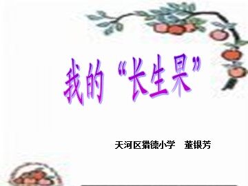 4.2《我的长生果》2