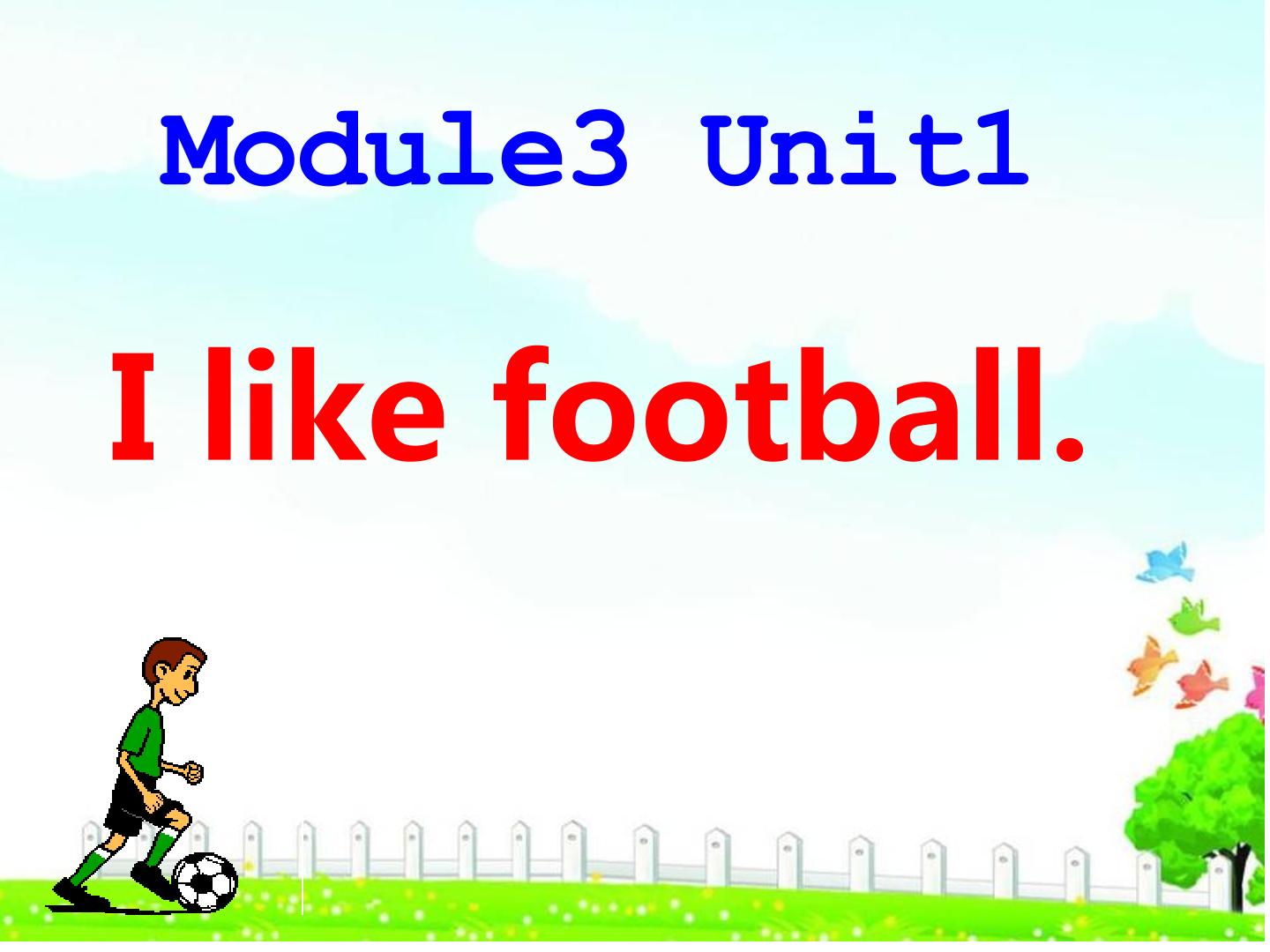 Module 3 unit 1  I like football.