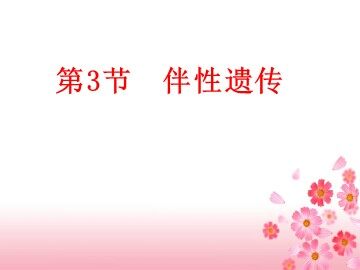 第3节  伴性遗传