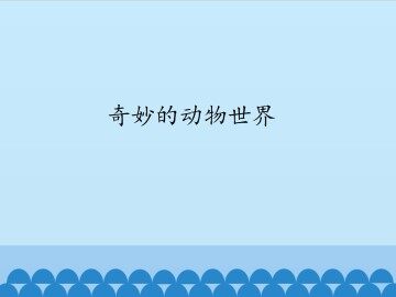 奇妙的动物世界_课件1
