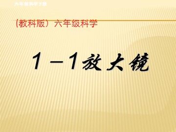 《放大镜》课件3