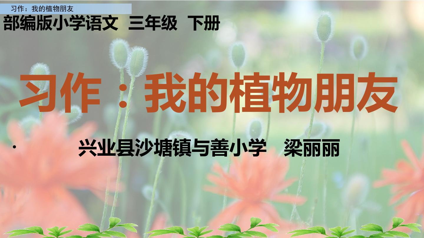 习作：我的植物朋友