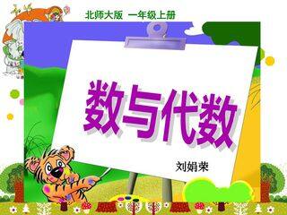 数与代数总复习