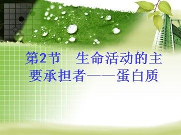 生物高中必修1第二章第二节课件10