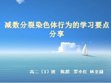 陈超小组PPT