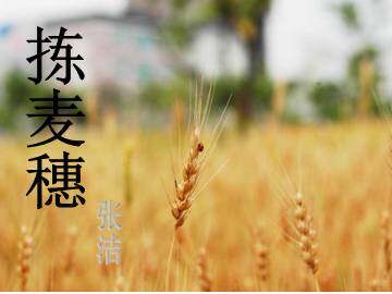 拣麦穗_课件1