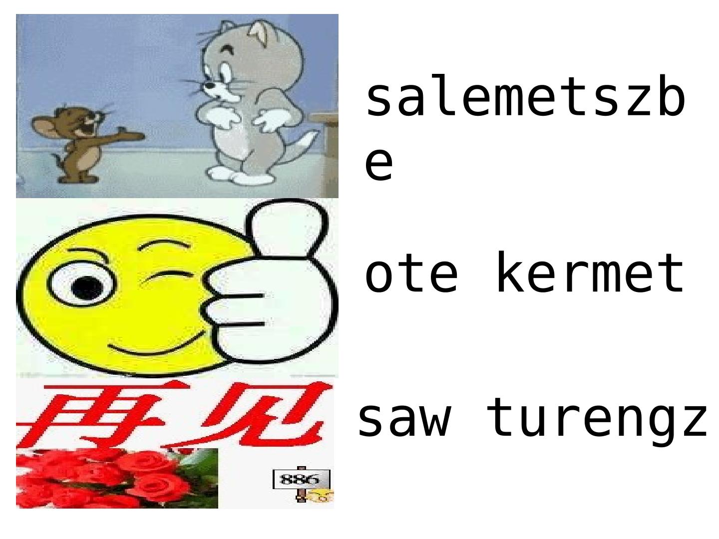 33.jpg