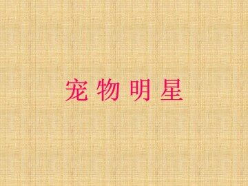 宠物明星_课件1