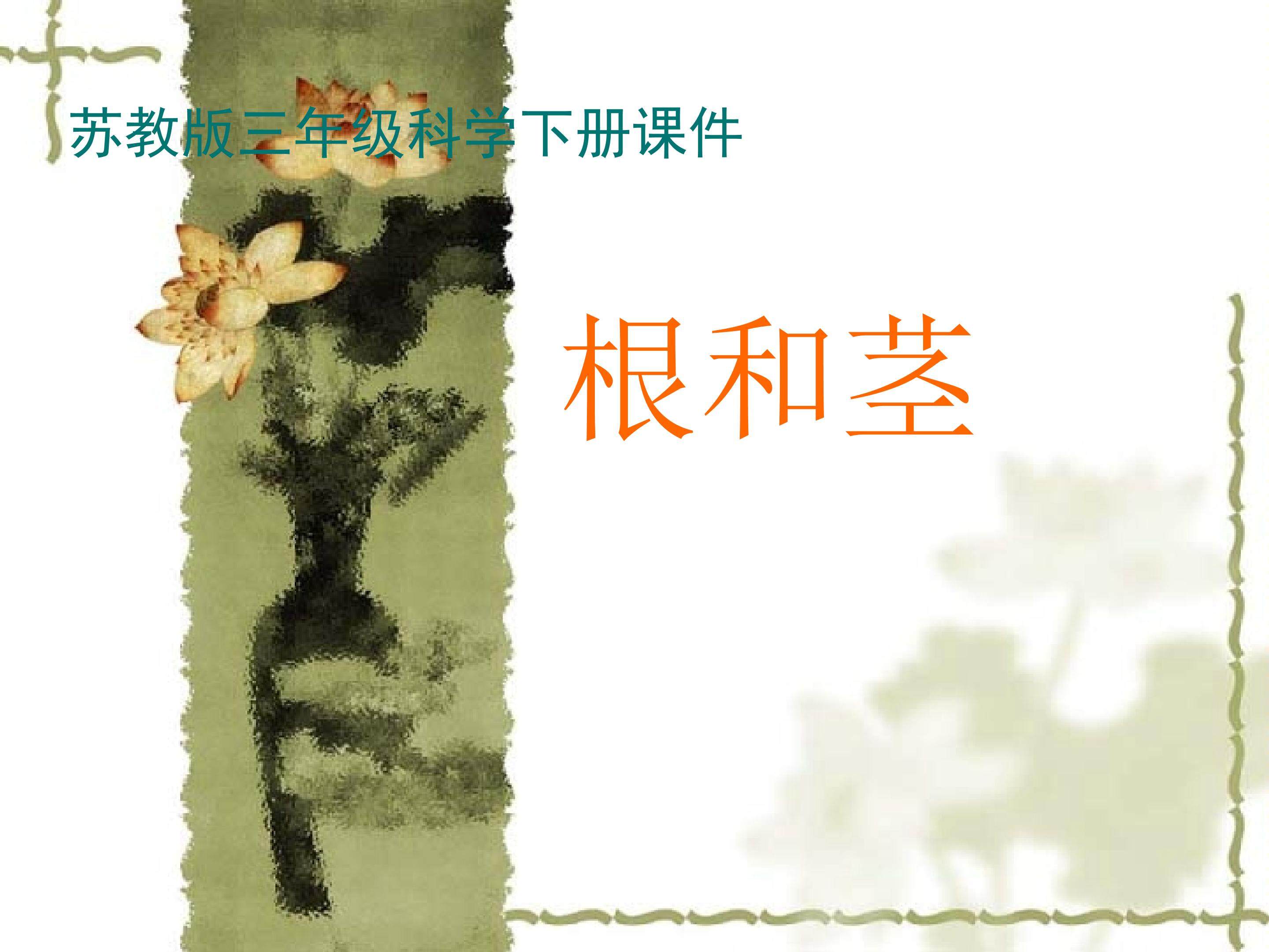 《根和茎》