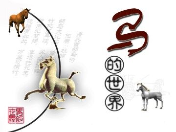 马_课件8