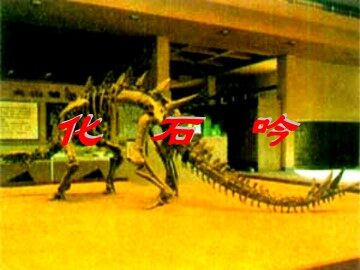 化石吟_课件17