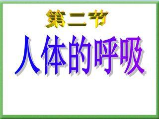 第二节 人体的呼吸