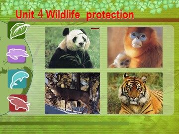 Unit 4 Wildlife protection