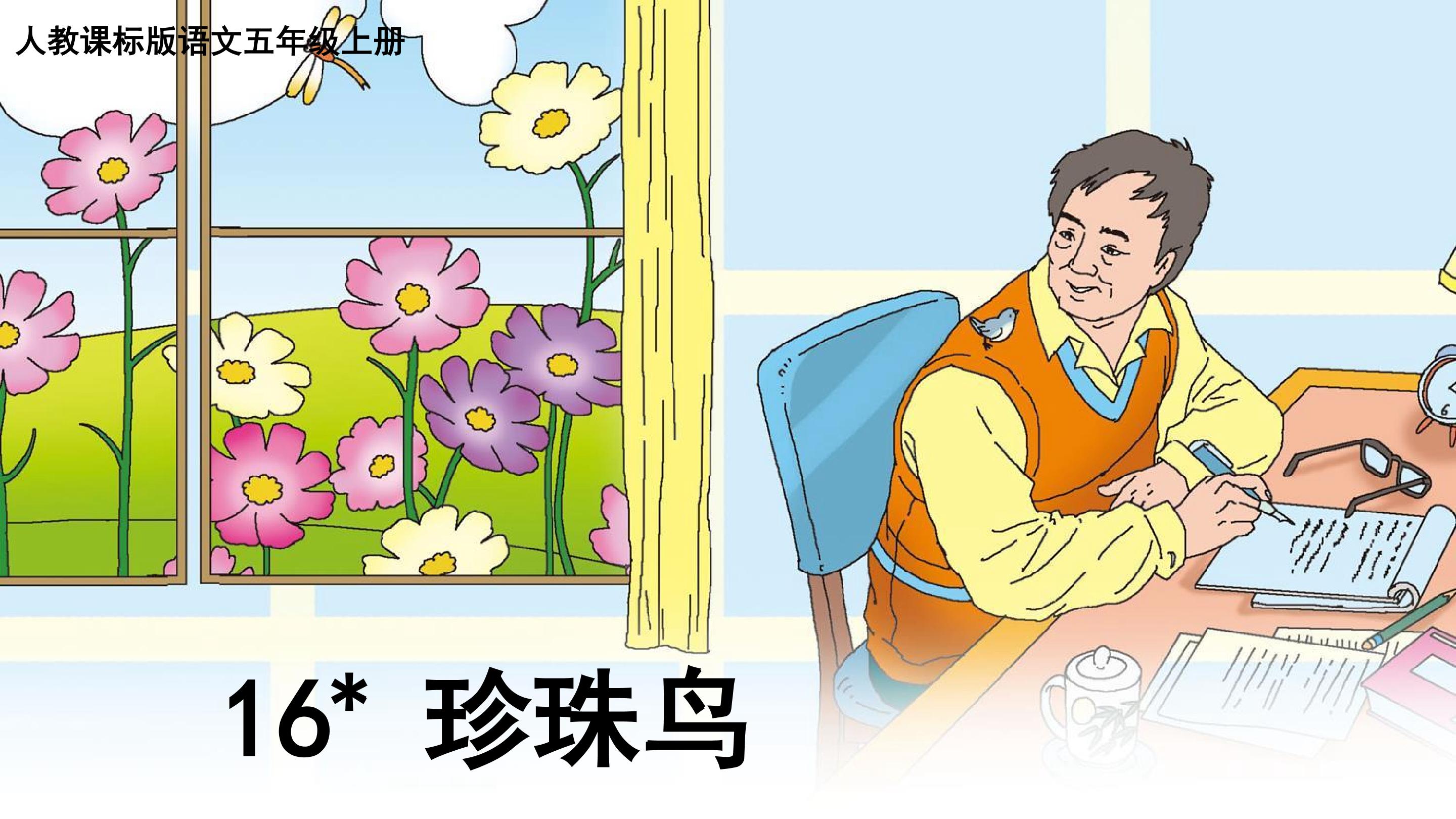 珍珠鸟