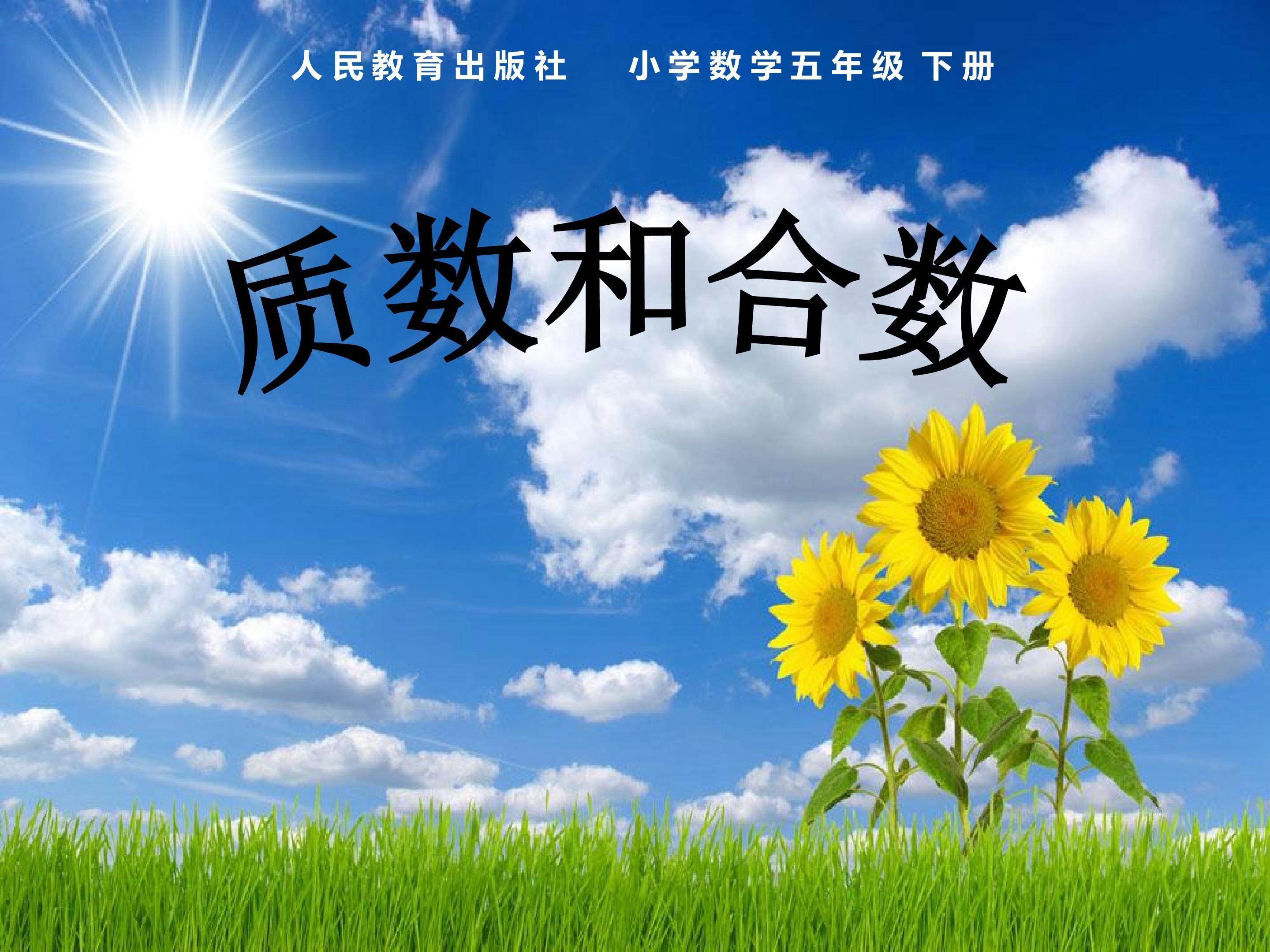 质数和合数