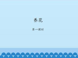 养花-第一课时_课件1