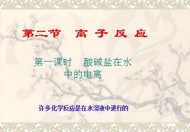 第二节 离子反应