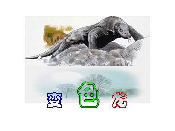 变色龙_课件7