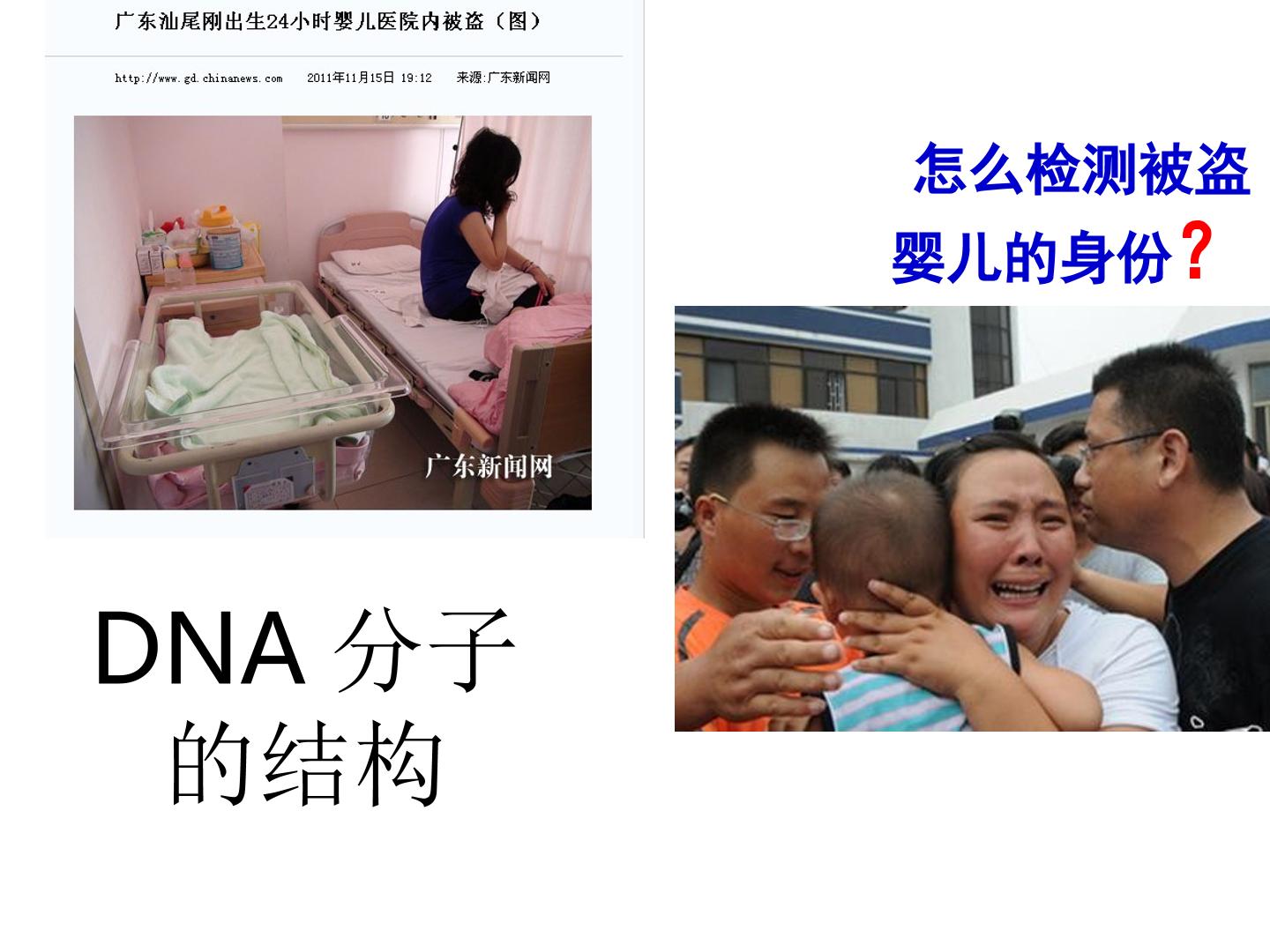 DNA分子的结构