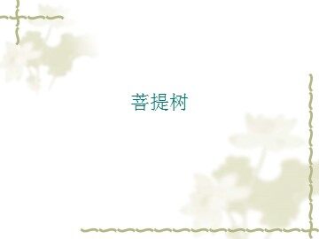 菩提树_课件1