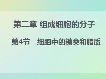 第4节  细胞中的糖类和脂质