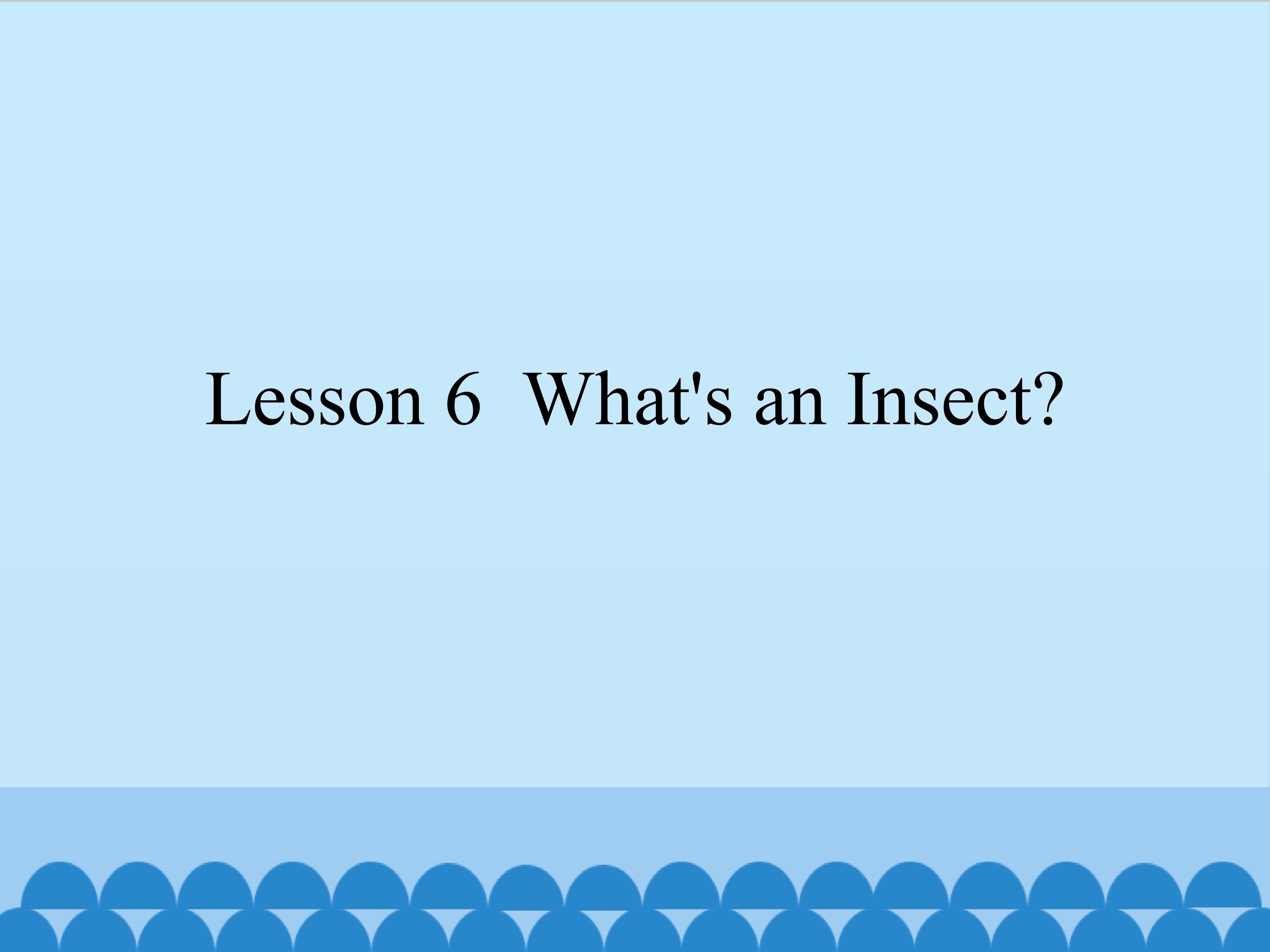 Lesson 6  What's an Insect?_课件1