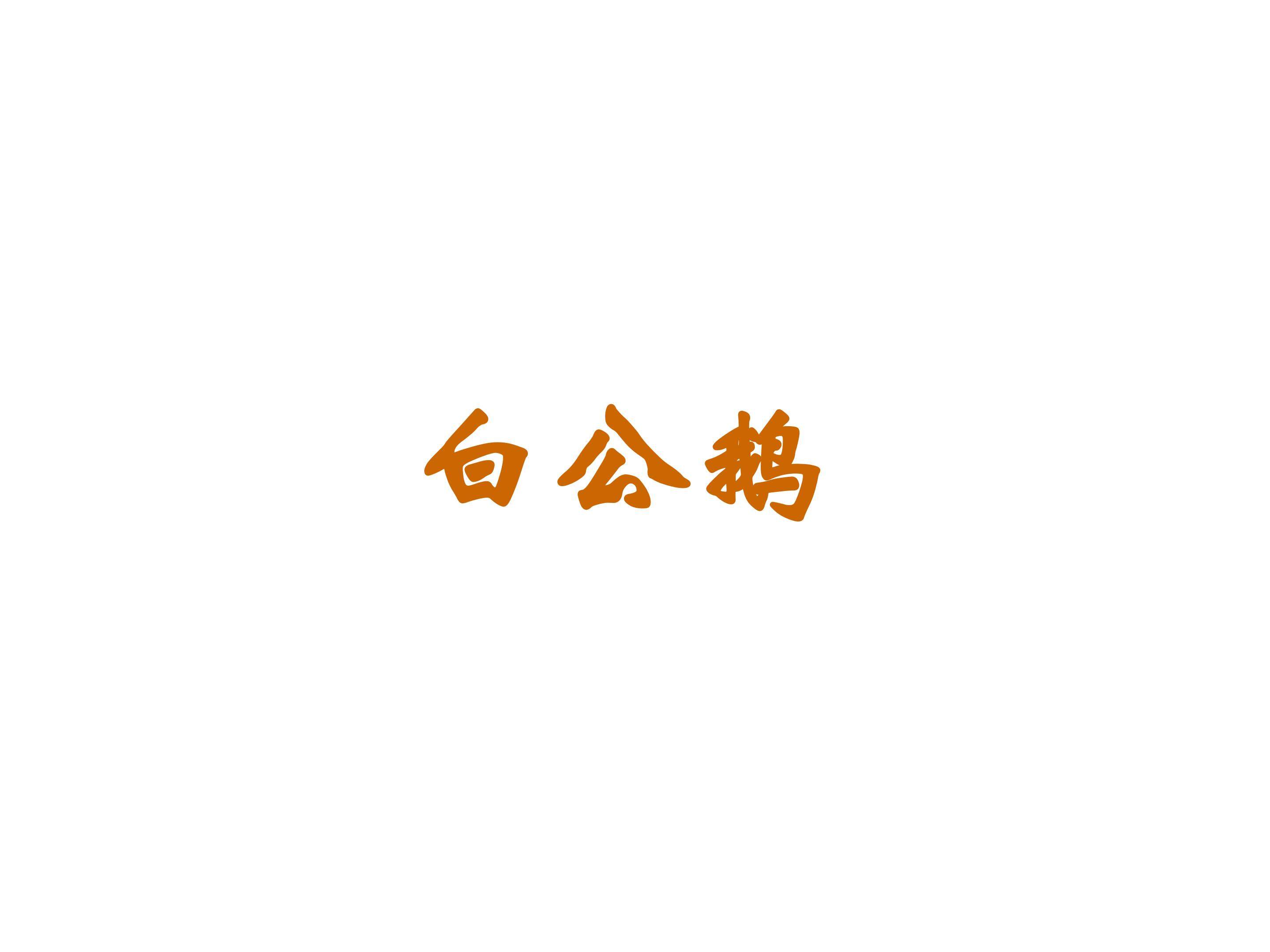 白公鹅_课件5