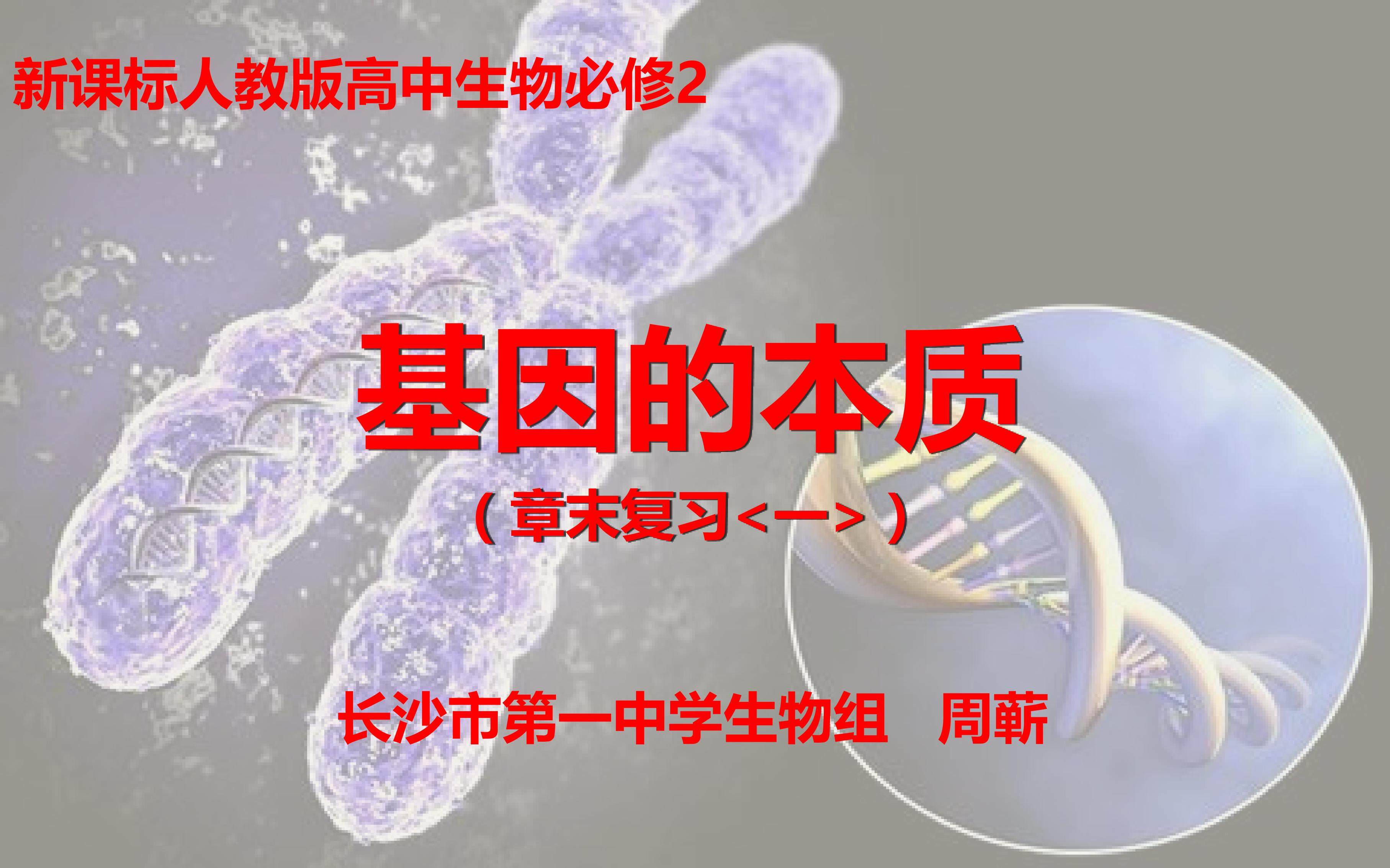 《基因的本质》全章复习课1