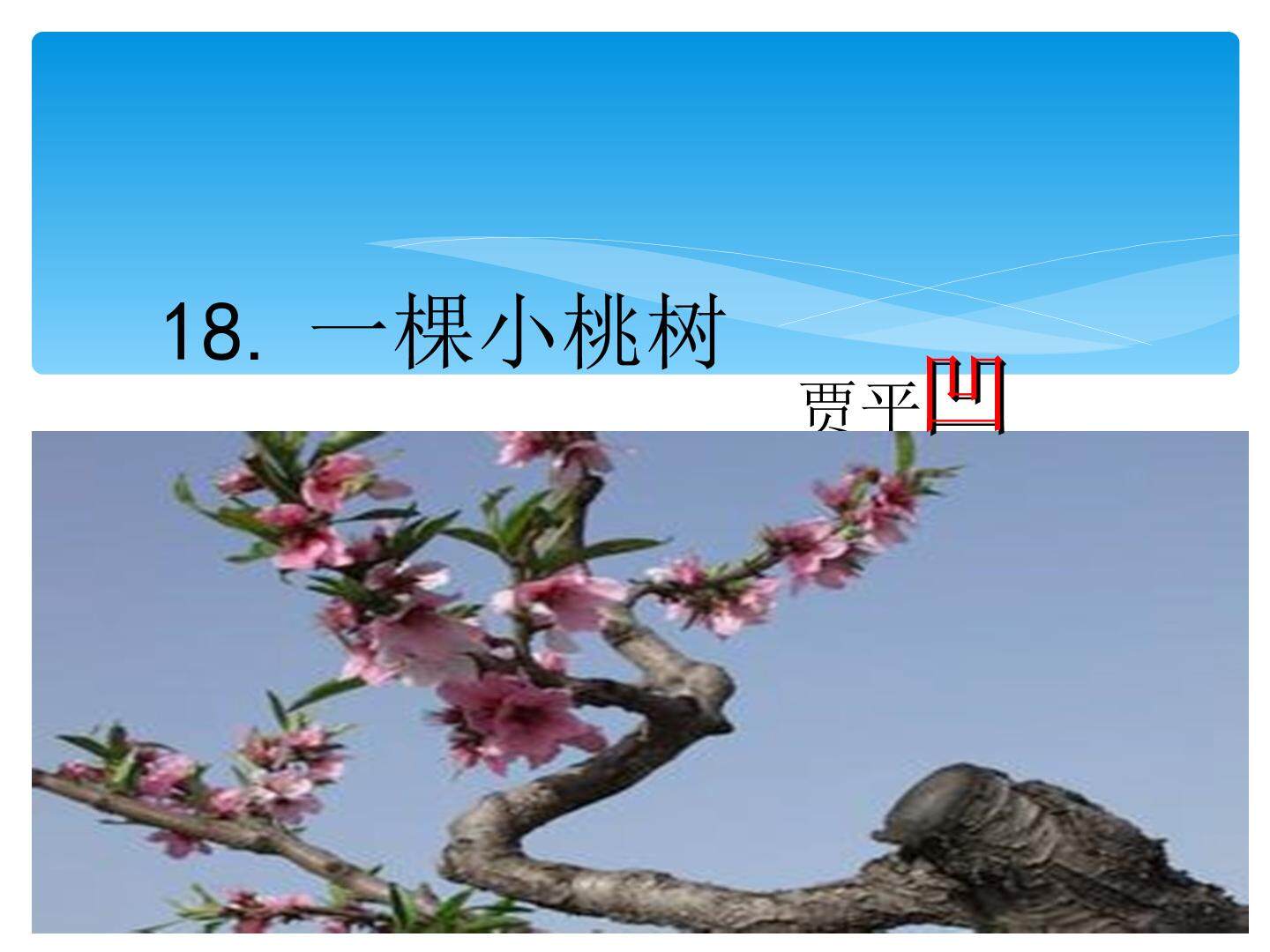 一棵小桃树