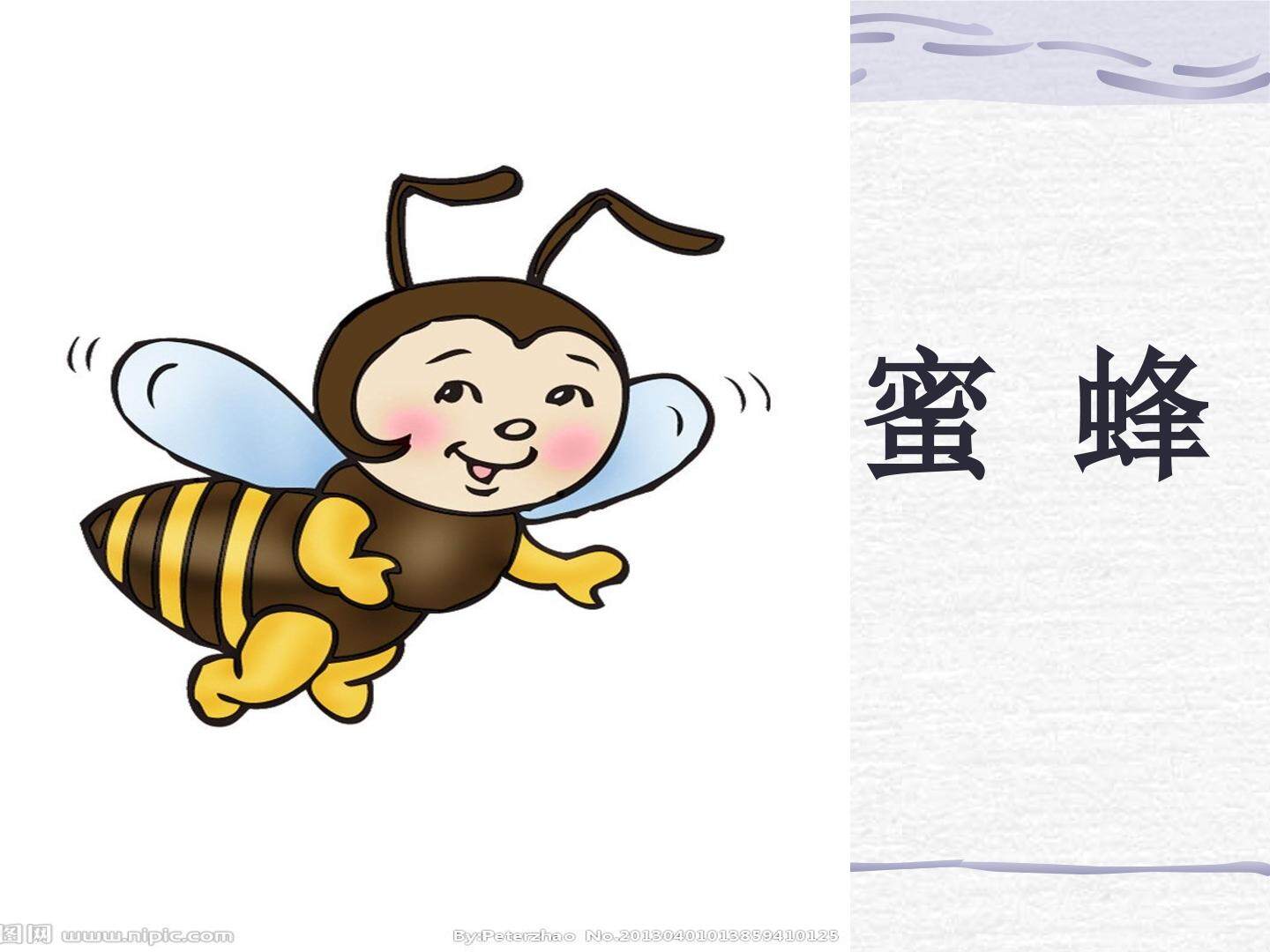 26 蜜蜂引路 