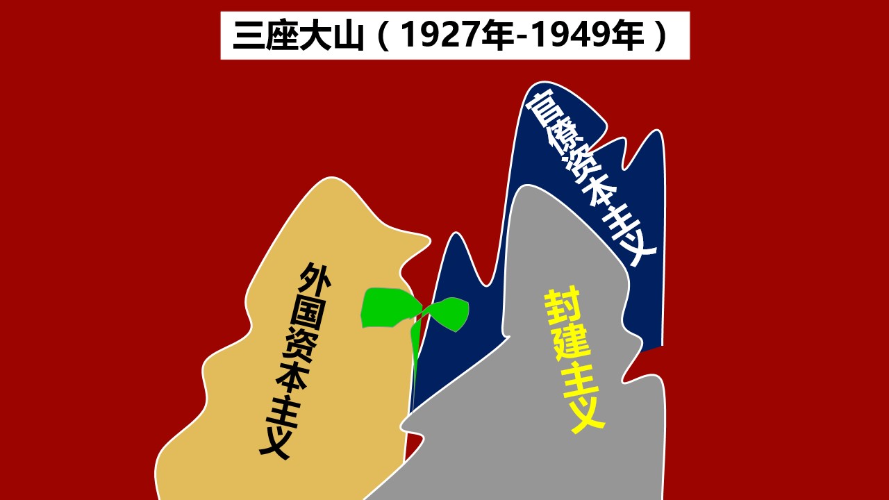 48.jpg