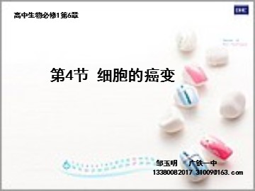 生物高中必修1第六章第四节课件10