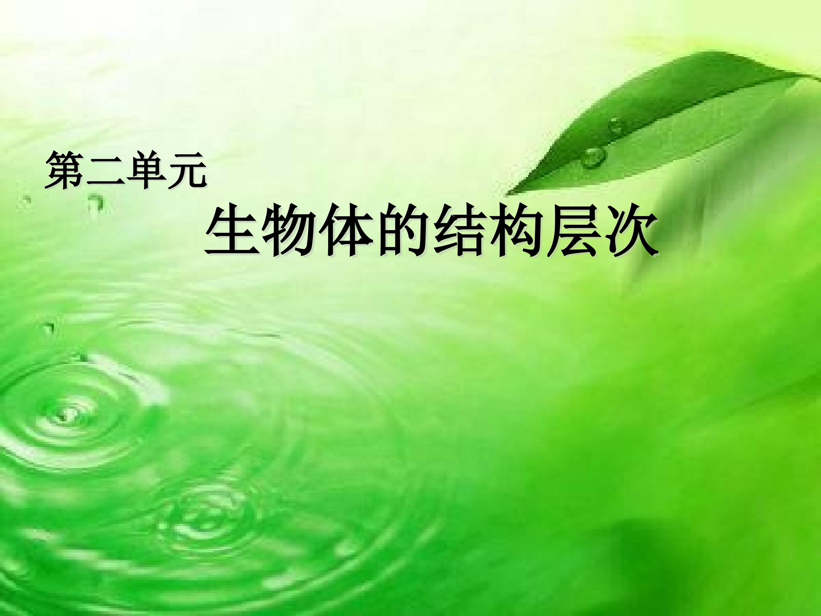 练习使用显微镜