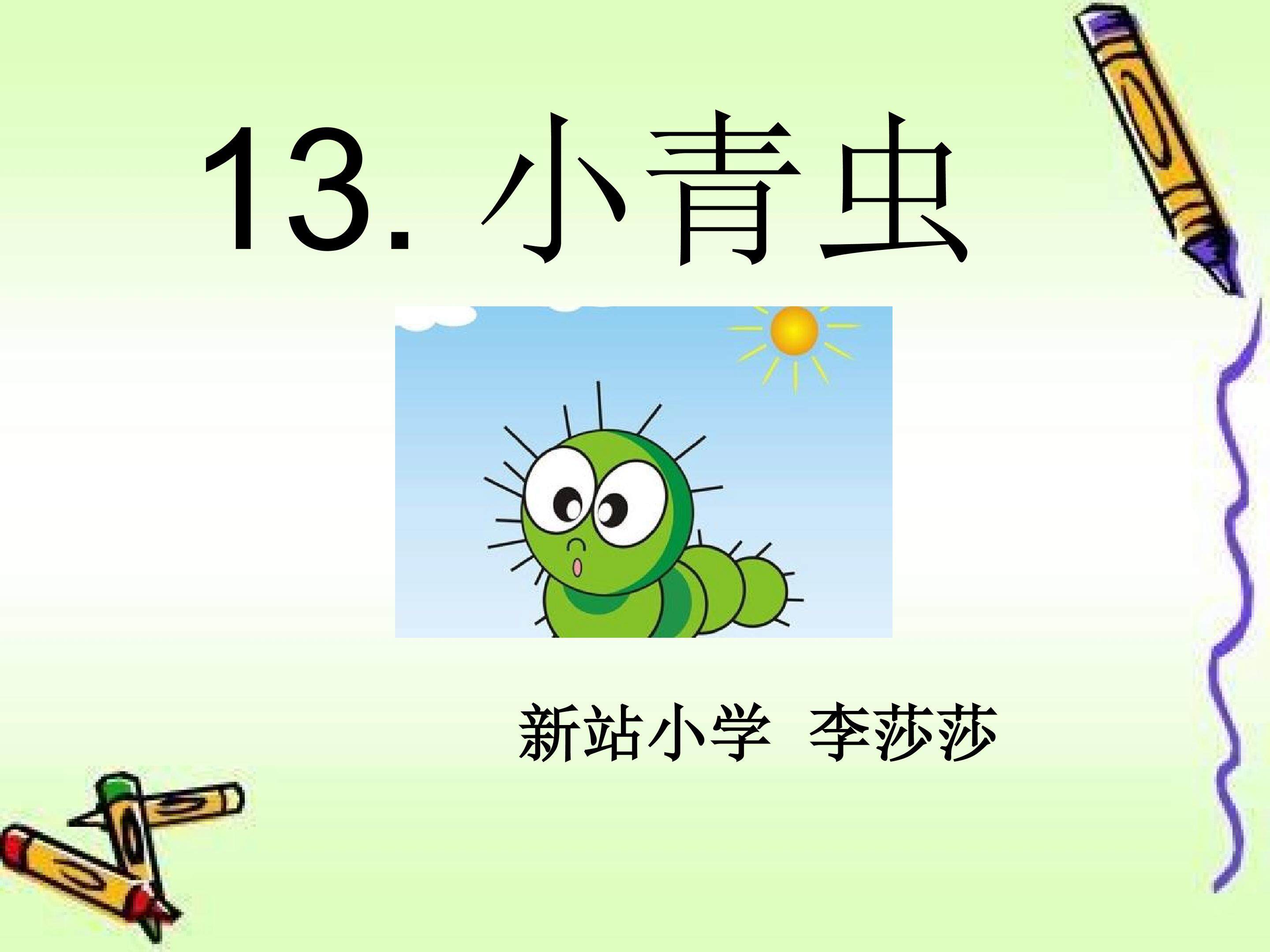 小青虫