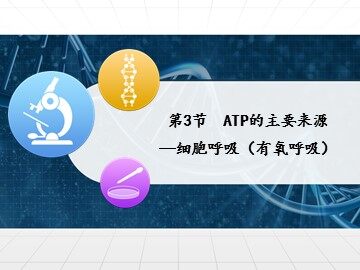 第3节  ATP的主要来源——细胞呼吸
