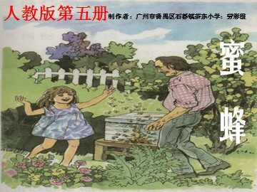 《蜜蜂》第一课时教学课件