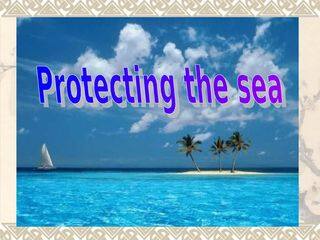 Lesson 2 Protecting the Sea