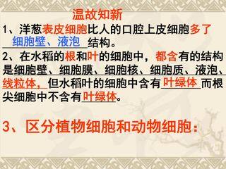 细胞的生活
