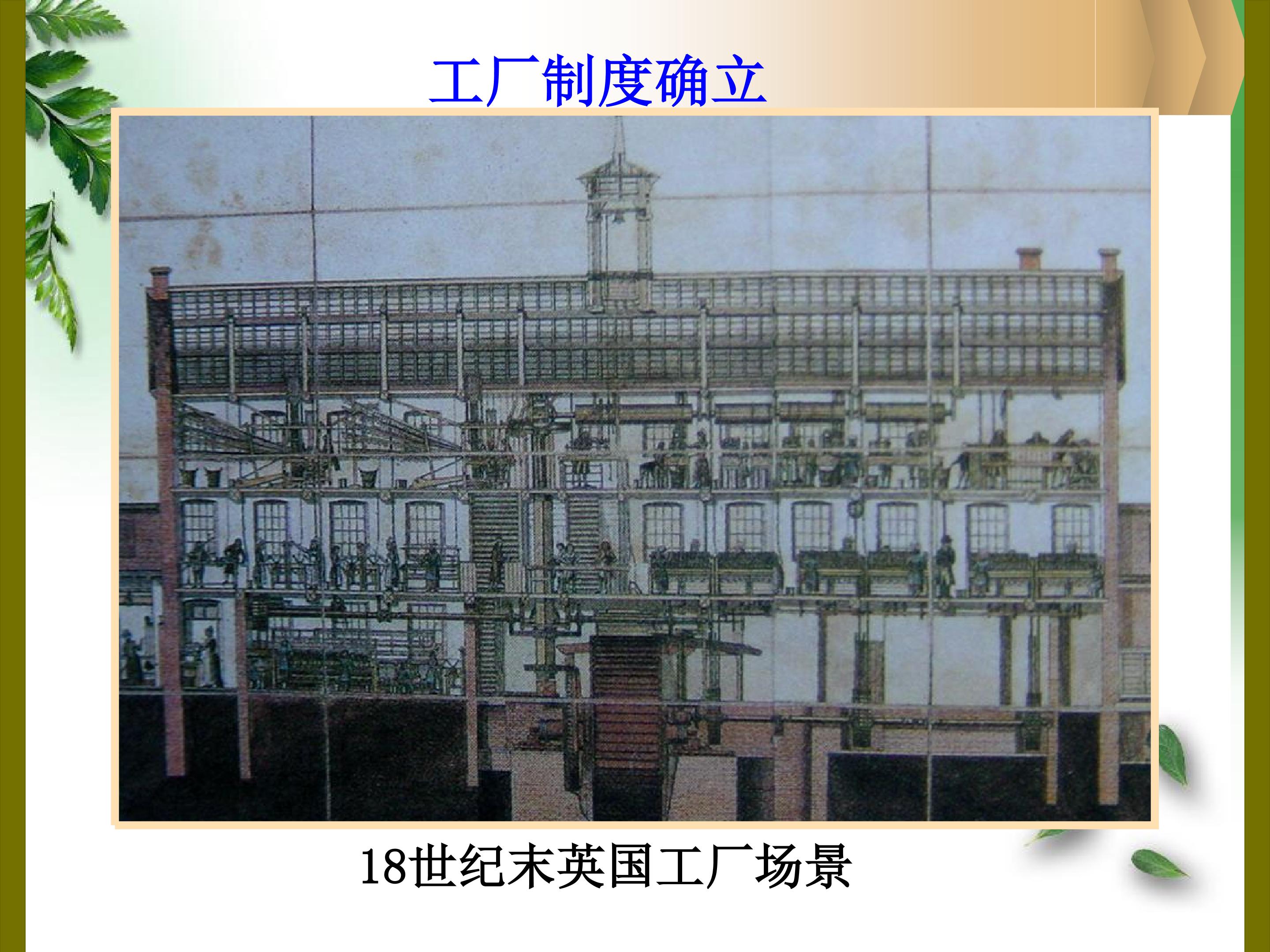 26.jpg