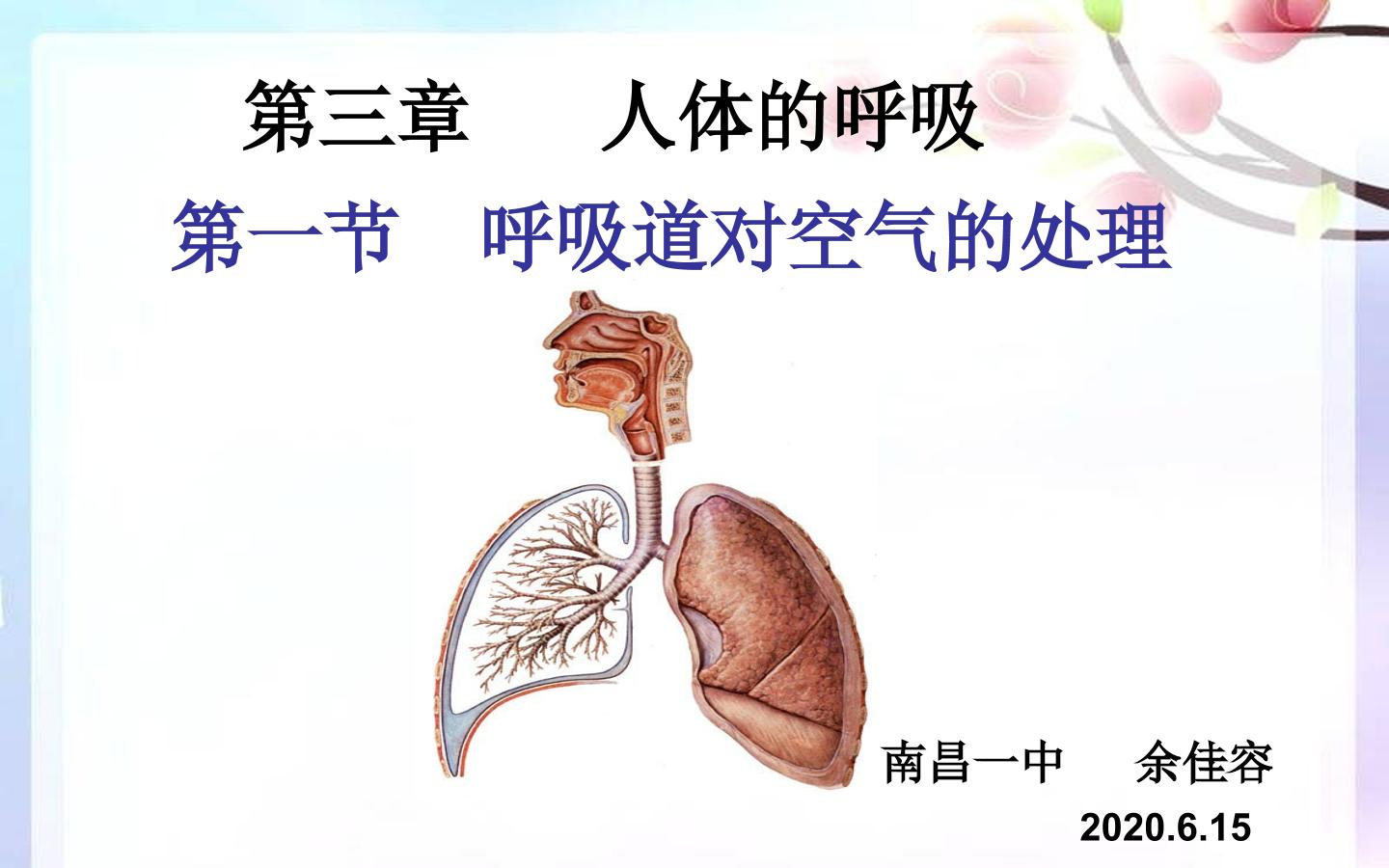 呼吸道对空气的处理