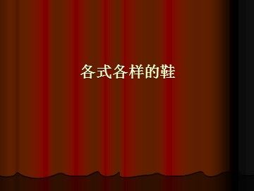 各式各样的鞋_课件1