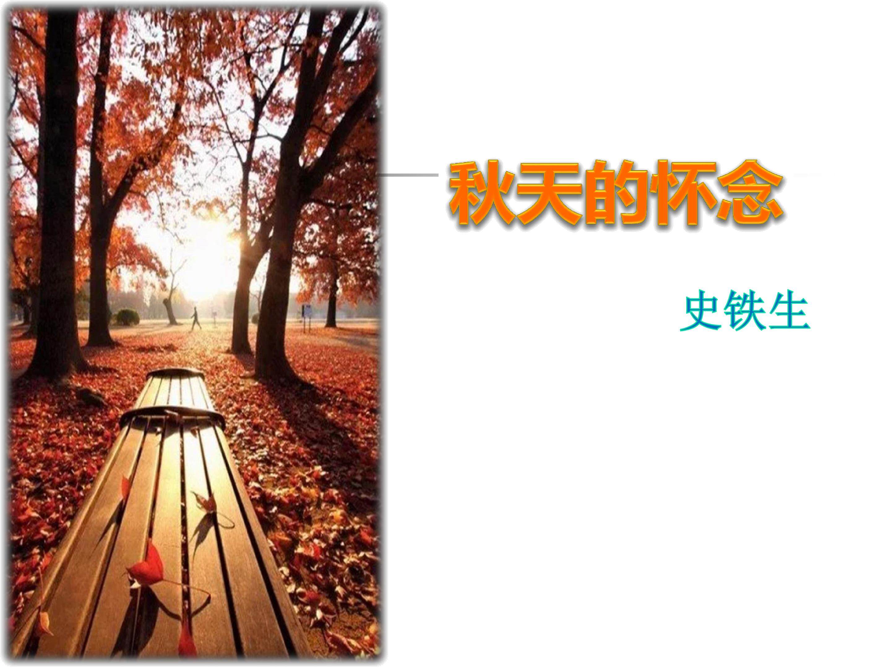 秋天的怀念
