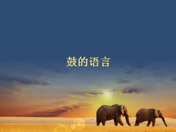 鼓的语言_课件1