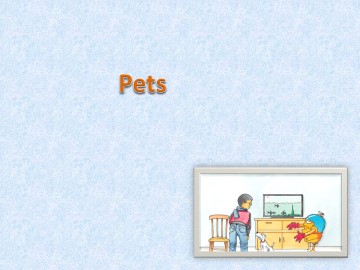 Pets_课件1