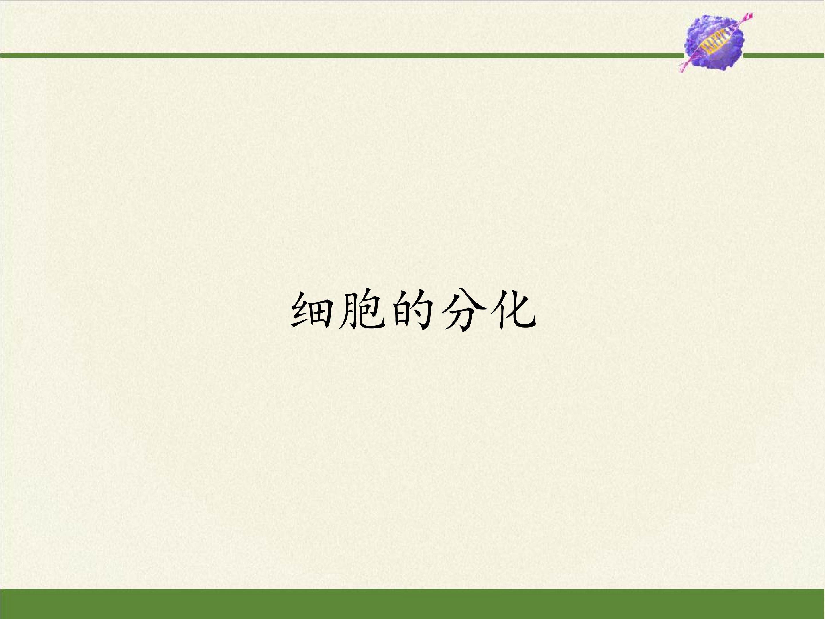 细胞的分化