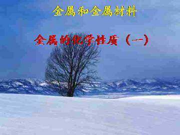 金属的化学性质_课件3