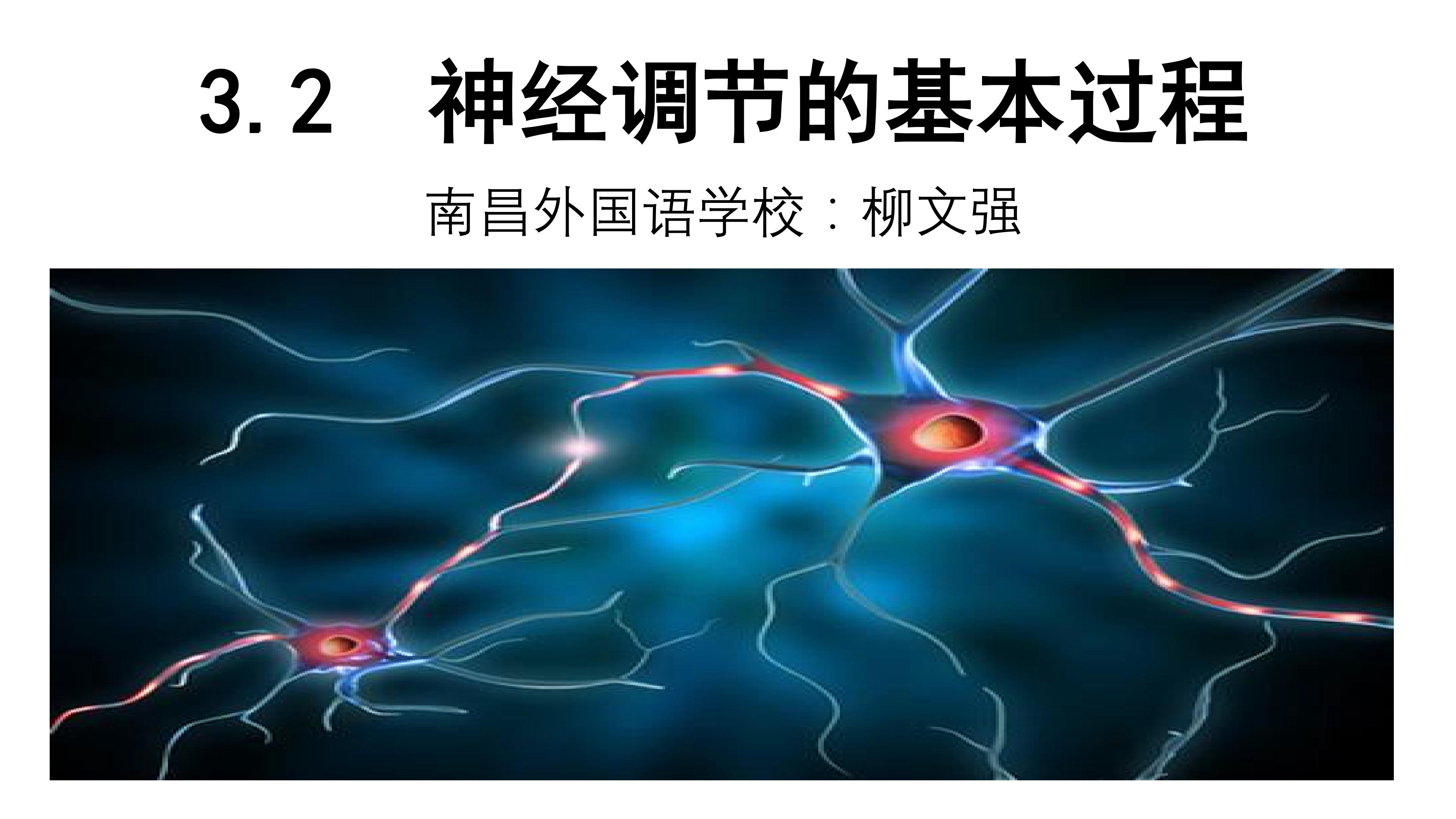 神经调节的基本方式