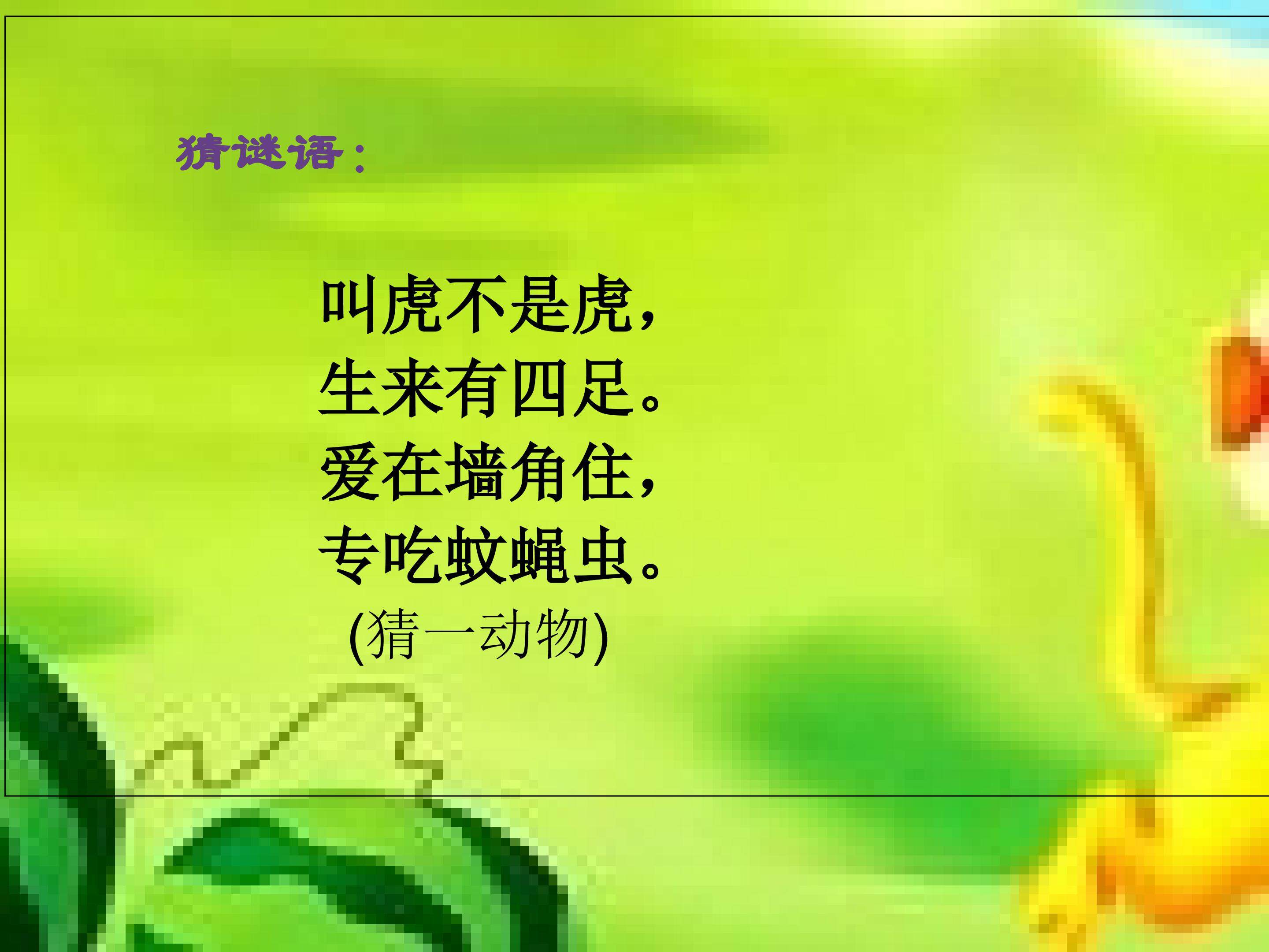 《小壁虎借尾巴》