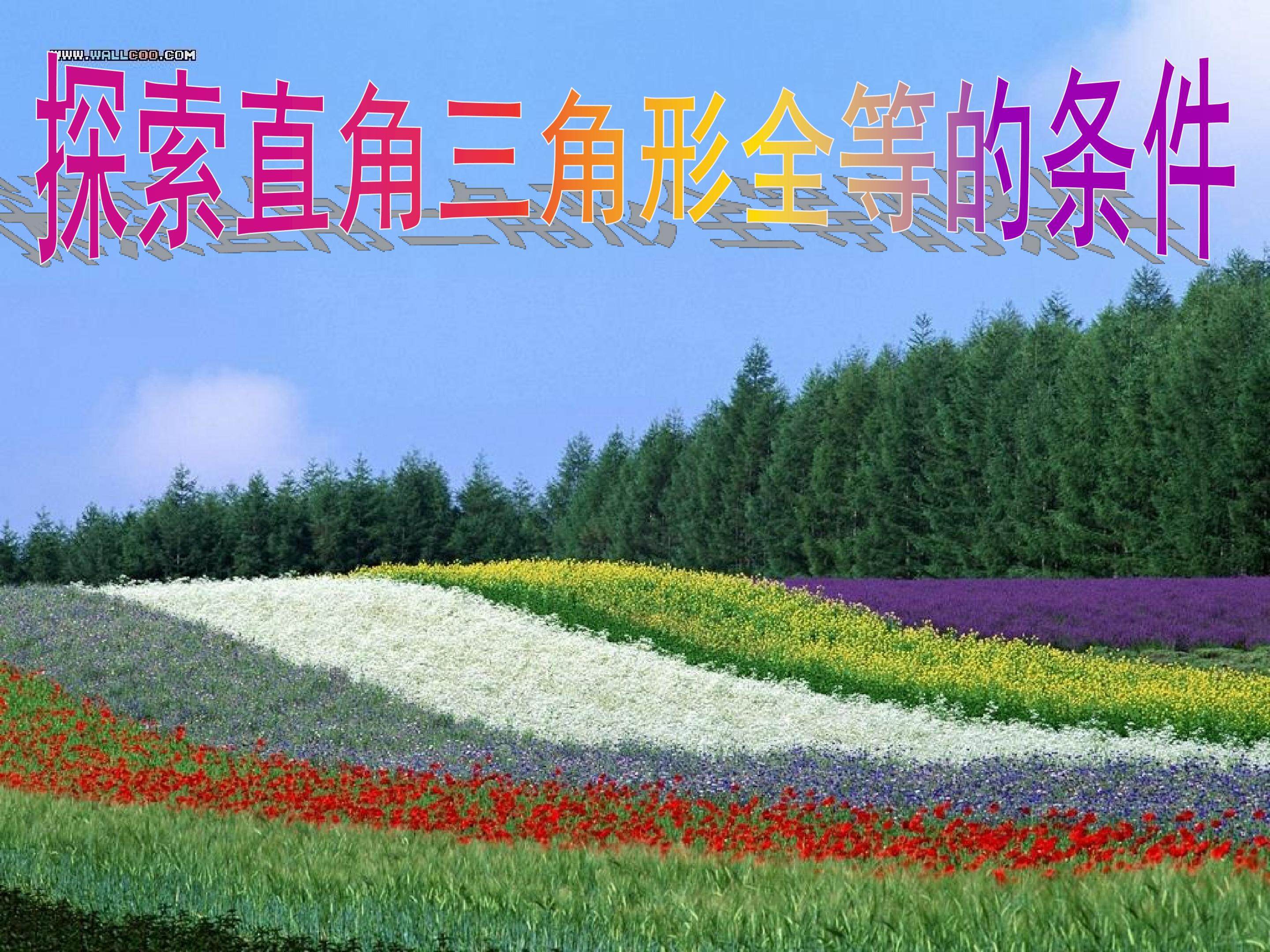 直角三角形全等的判定