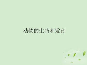 动物的生殖和发育_课件3